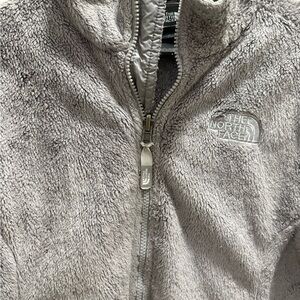 The North Face Plush Fleece Jacket in Light Taupe Gray